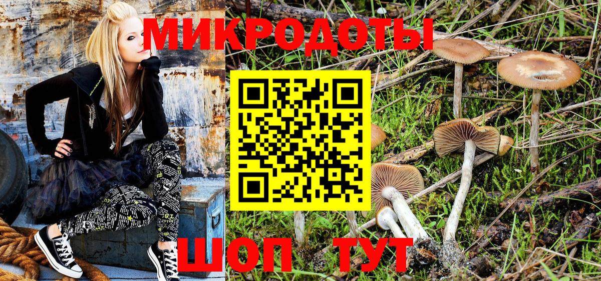 Сосновый Бор  Галлюциногенные грибы Psilocybine cubensis  Галлюциногенные грибы Magic Shrooms  Вход с VPN 
