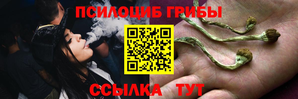 Галлюциногенные грибы мицелий Сосновый Бор